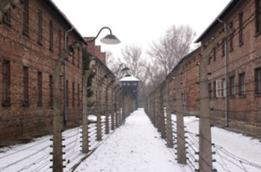 Día Internacional de Conmemoración de las Víctimas del Holocausto