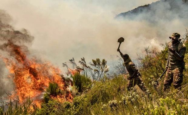 Se han documentado más de 6.902 incendios en Angola y 3.395 incendios en la vecina República Democrática del Congo.