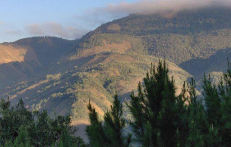 Sierra de Bahoruco