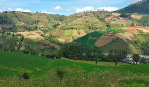 Medio Ambiente prohí­be de manera permanente la agropecuaria en Valle Nuevo