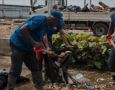 El oleaje causado por el ciclón Beryl dejó toneladas de desechos en monumento a Montesino