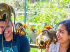 Incluyen dos excursiones dominicanas entre las mejores experiencias del Caribe en TripAdvisor